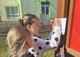 thumbnail_IMG_8749.jpg