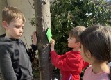 thumbnail_IMG_8760.jpg