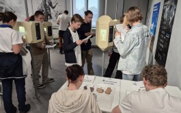 kfkpgilcw8_____fosilie