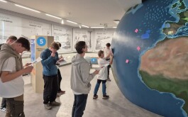 kfkpgilcw8_____fosilie