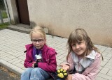 IMG_0374.jpeg