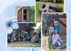Koláže 5.C 2025