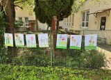 IMG_0821.jpeg