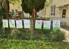 Družina - výstava 2025