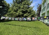 IMG_0813.jpeg
