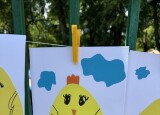 IMG_0825.jpeg