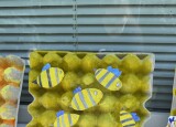 IMG_0816.jpeg