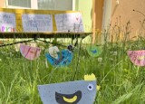 IMG_0818.jpeg