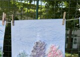 IMG_0820.jpeg