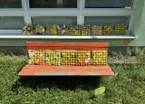 IMG_0815.jpeg