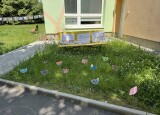 IMG_0817.jpeg