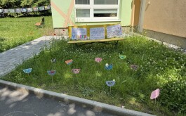 1hqwbnklqt_____IMG_0821