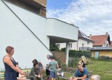 IMG_1036.jpeg