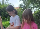 thumbnail_20250618_104928.jpg