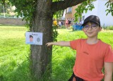 thumbnail_20250618_102500.jpg