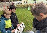 IMG_1330.jpeg