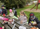 IMG_1332.jpeg