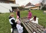 IMG_1340.jpeg