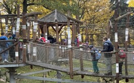 rzfx0p2ok6_____IMG_1697