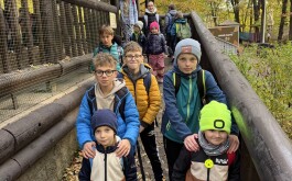 rzfx0p2ok6_____IMG_1697