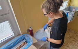 mt4ojk3zw1_____IMG_5590