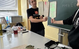 mt4ojk3zw1_____IMG_5590