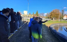 2m63xlchj8_____20251023_085330