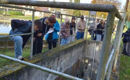 2m63xlchj8_____20251023_085330