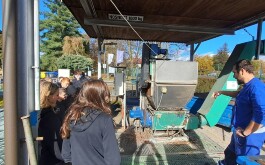 2m63xlchj8_____20251023_085330