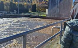 2m63xlchj8_____20251023_085330