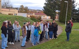 2m63xlchj8_____20251023_085330