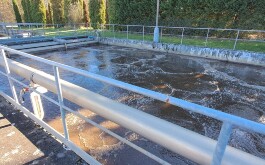 2m63xlchj8_____20251023_085330