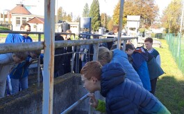 2m63xlchj8_____20251023_085330