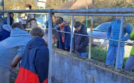 2m63xlchj8_____20251023_085330