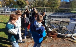 2m63xlchj8_____20251023_085330