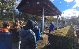 2m63xlchj8_____20251023_085330