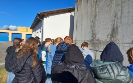 2m63xlchj8_____20251023_085330