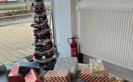 wi3an5586j_____charita_2025