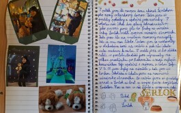 nviaj4p7v6_____20250829_132319