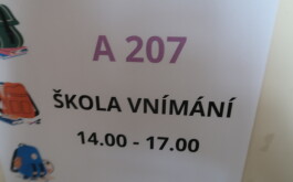 i1dp7ky6gp_____IMG_5915