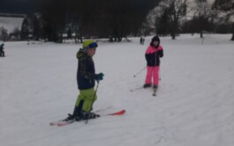 1vcwrzj8e6_____20260117_153847