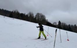 uqo3kc1czr_____20260123_133302