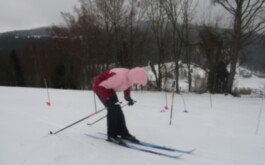 uqo3kc1czr_____20260123_133302