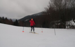 uqo3kc1czr_____20260123_133302