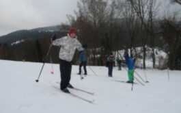 uqo3kc1czr_____20260123_133302