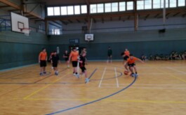 zkpxgojze2_____WhatsApp Image 2026-02-11 at 11.33.26