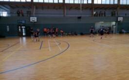 zkpxgojze2_____WhatsApp Image 2026-02-11 at 11.33.26