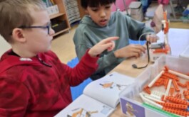 axf5umxr5d_____Média (23)