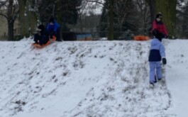 xxvf6qo8yx_____IMG_3248