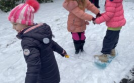 xxvf6qo8yx_____IMG_3248